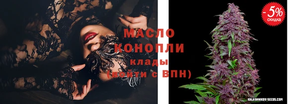 шишки Каменка