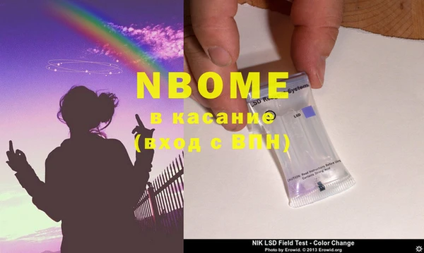 шишки Каменка