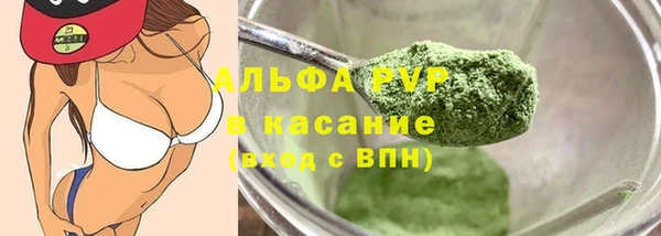 шишки Каменка