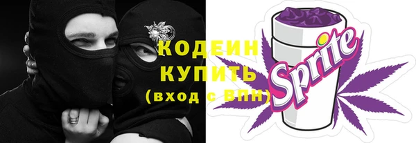 шишки Каменка
