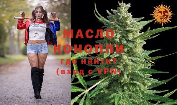 шишки Каменка