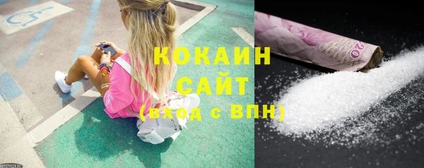 шишки Каменка