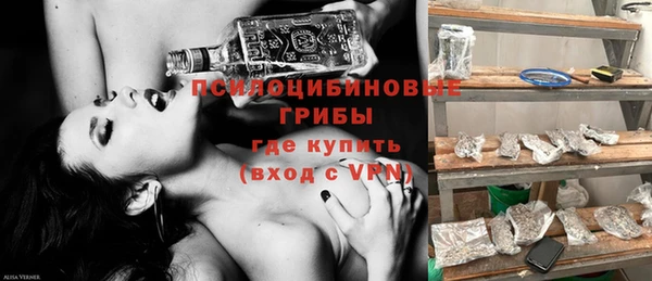 шишки Каменка