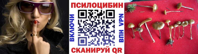 hydra как зайти  Пионерский  Галлюциногенные грибы Cubensis 
